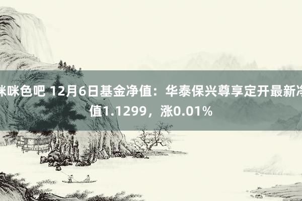 咪咪色吧 12月6日基金净值：华泰保兴尊享定开最新净值1.1299，涨0.01%