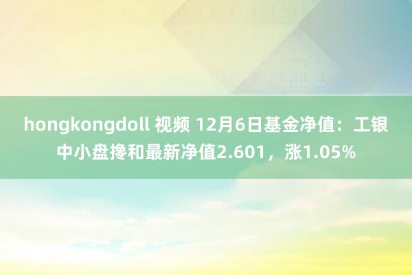 hongkongdoll 视频 12月6日基金净值：工银中小盘搀和最新净值2.601，涨1.05%