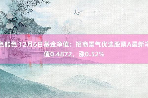 色酷色 12月6日基金净值：招商景气优选股票A最新净值0.4872，涨0.52%