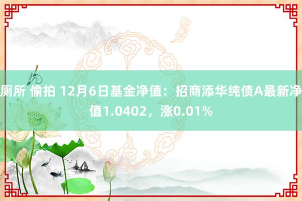 厕所 偷拍 12月6日基金净值：招商添华纯债A最新净值1.0402，涨0.01%