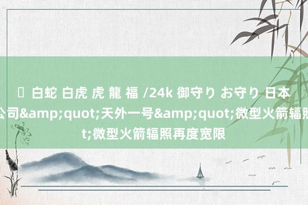 ✨白蛇 白虎 虎 龍 福 /24k 御守り お守り 日本交易航天公司&quot;天外一号&quot;微型火箭辐照再度宽限