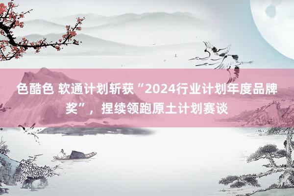 色酷色 软通计划斩获“2024行业计划年度品牌奖”，捏续领跑原土计划赛谈