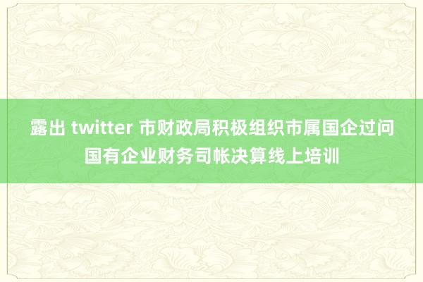 露出 twitter 市财政局积极组织市属国企过问国有企业财务司帐决算线上培训