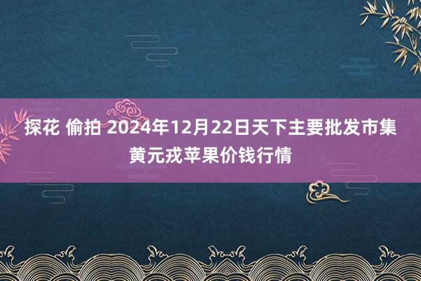 探花 偷拍 2024年12月22日天下主要批发市集黄元戎苹果价钱行情