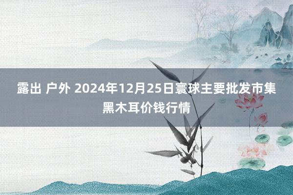 露出 户外 2024年12月25日寰球主要批发市集黑木耳价钱行情