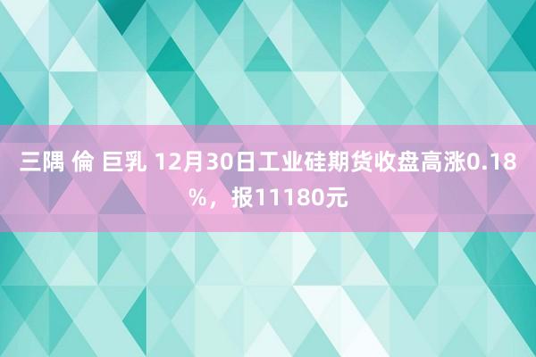 三隅 倫 巨乳 12月30日工业硅期货收盘高涨0.18%，报11180元