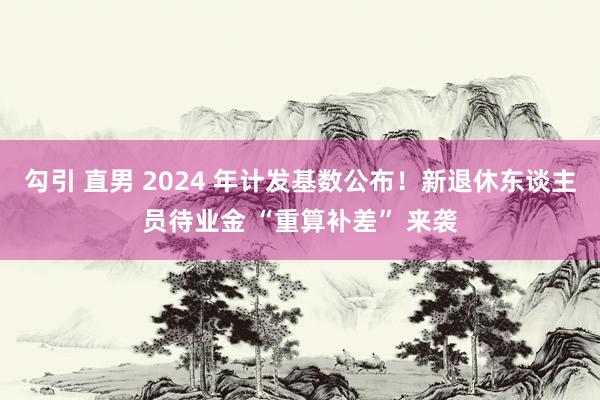 勾引 直男 2024 年计发基数公布！新退休东谈主员待业金 “重算补差” 来袭