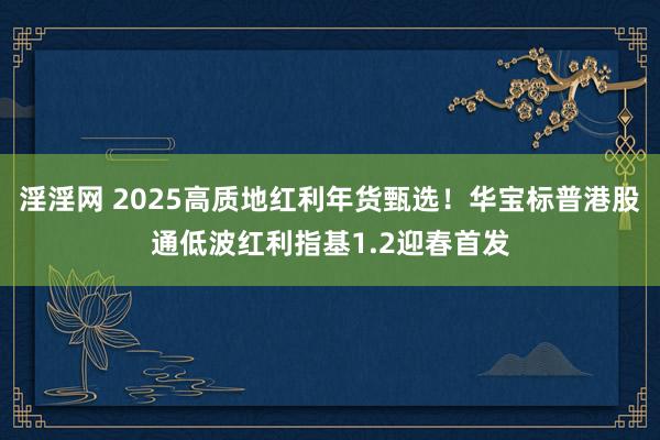 淫淫网 2025高质地红利年货甄选！华宝标普港股通低波红利指基1.2迎春首发