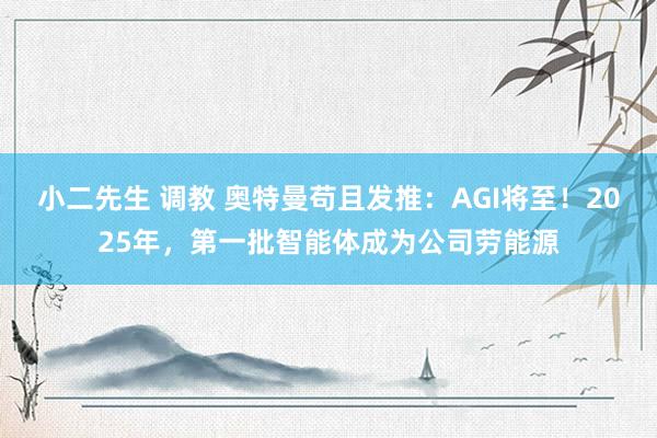 小二先生 调教 奥特曼苟且发推：AGI将至！2025年，第一批智能体成为公司劳能源