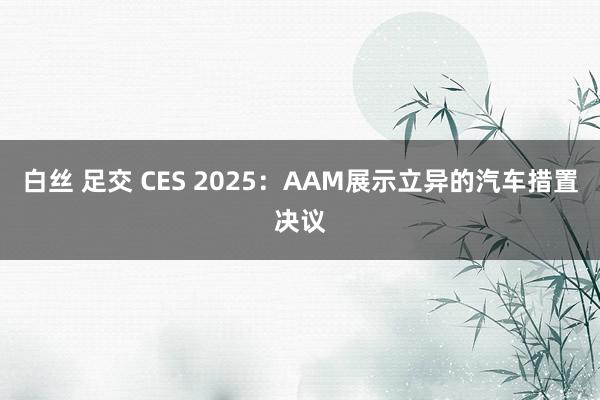 白丝 足交 CES 2025：AAM展示立异的汽车措置决议