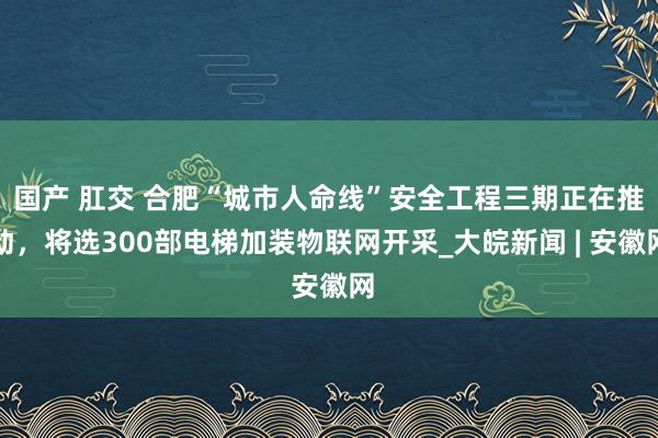 国产 肛交 合肥“城市人命线”安全工程三期正在推动，将选300部电梯加装物联网开采_大皖新闻 | 安徽网