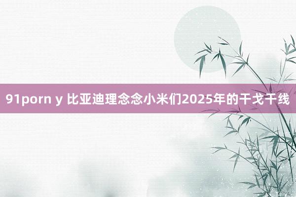 91porn y 比亚迪理念念小米们2025年的干戈干线