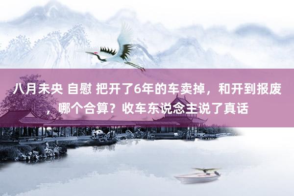 八月未央 自慰 把开了6年的车卖掉，和开到报废，哪个合算？收车东说念主说了真话