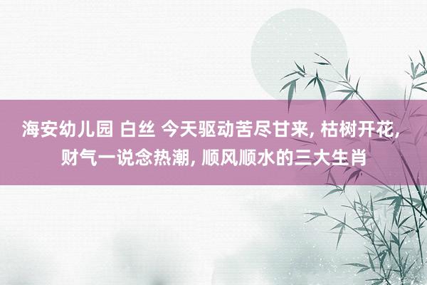 海安幼儿园 白丝 今天驱动苦尽甘来, 枯树开花, 财气一说念热潮, 顺风顺水的三大生肖